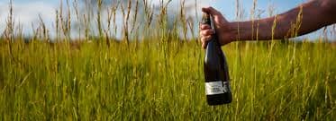 Domaine des 5 Autels
